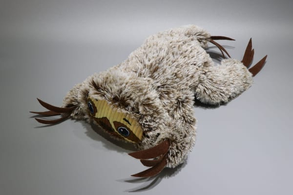 Lying Sloth
