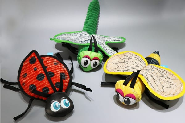 3 Colorful Insect